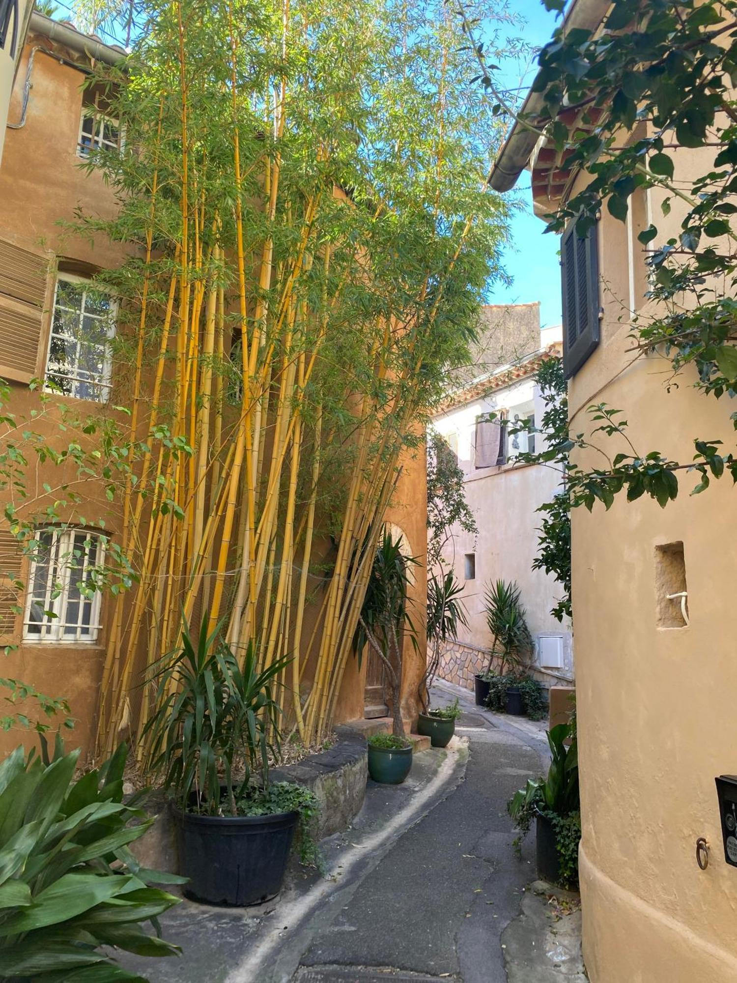Spacieux Duplex, Vue Mer Et Belle Terrasse Hyères Buitenkant foto